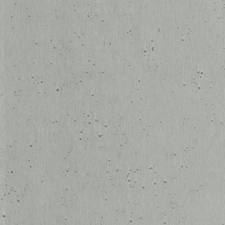 Silver Burnished Patina White Silver Wallpaper