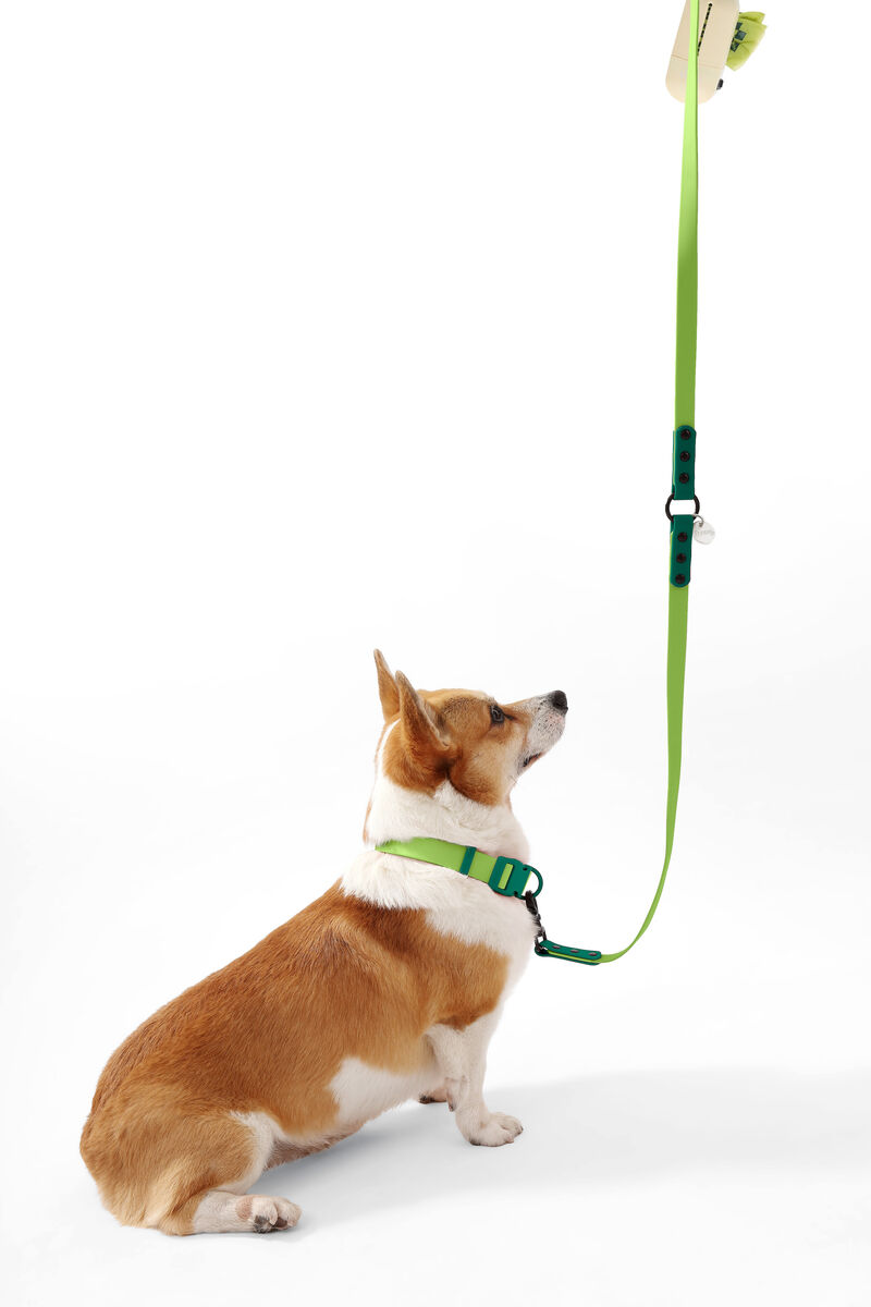 Luna Adjustable 6-in-1 Waterproof Hands-Free Leash and Collar with LED Flashlight