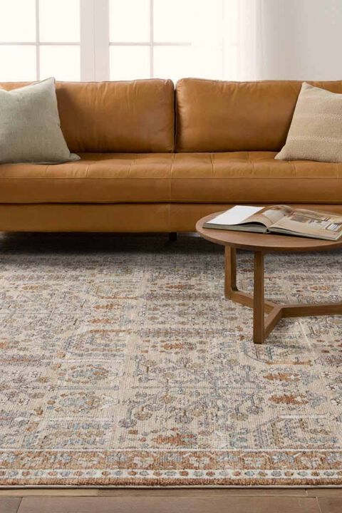 Lark Regard Light Taupe 4' x 6' Rug