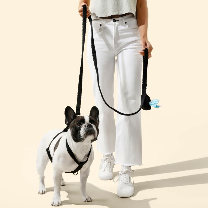 Teddy Boucl&eacute; Adjustable H Harness and Leash Walk Set with Poop Bag Pouch