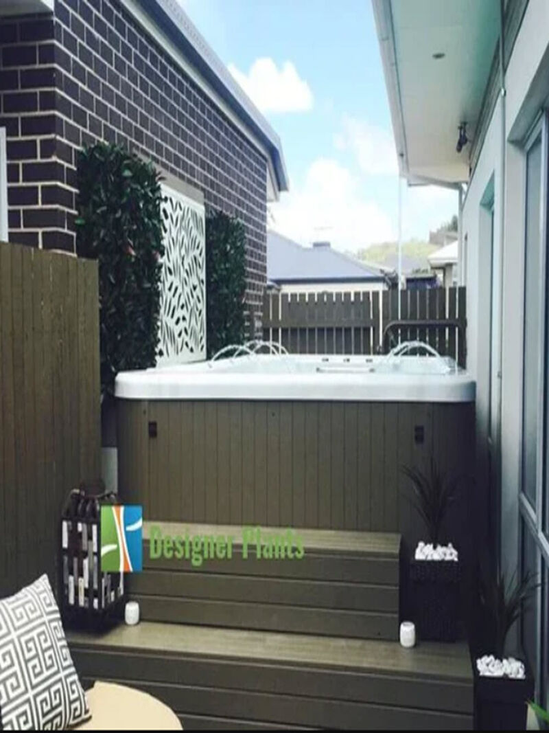 Artificial Photinia Hedge Panel Wall 40" x 40" 11SQ FT Commercial Grade UV Resistant