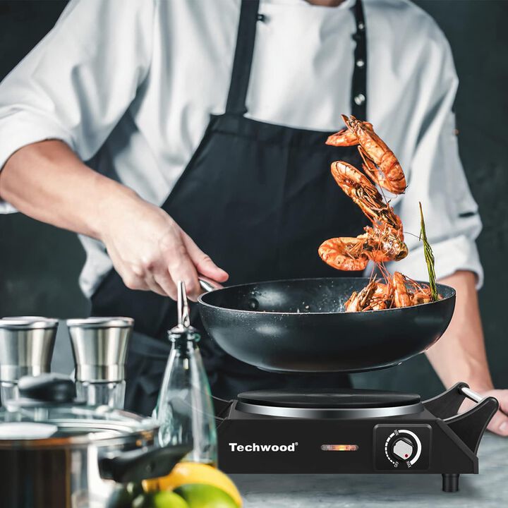 Techwood Hot Plate, Electric Stove for Cooking, 1500 Watts Electric Hot Plate, Temperature Controls, Power Indicator Lights, Easy to Clean