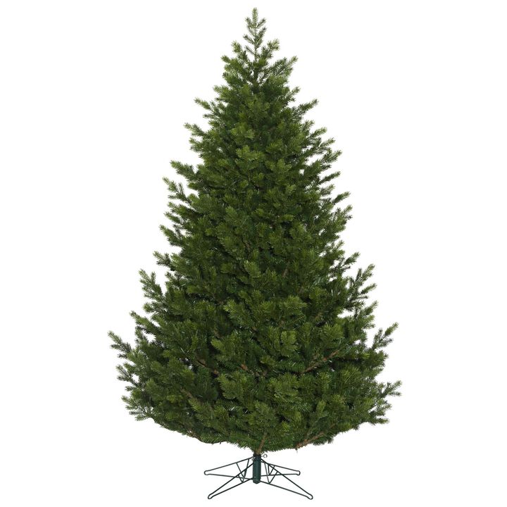 Vickerman Eagle Fraser Full -