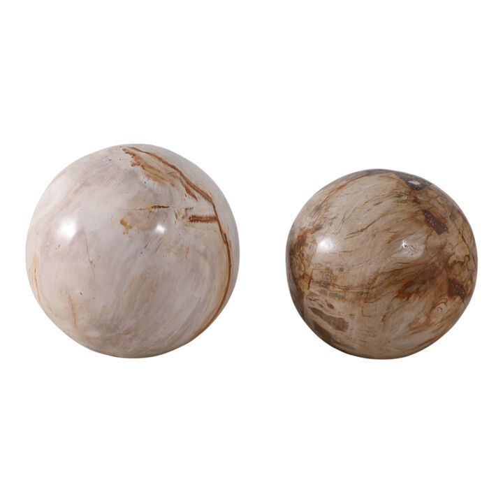 S/2 5/6" Petrified Wood Orbs, Ivory
