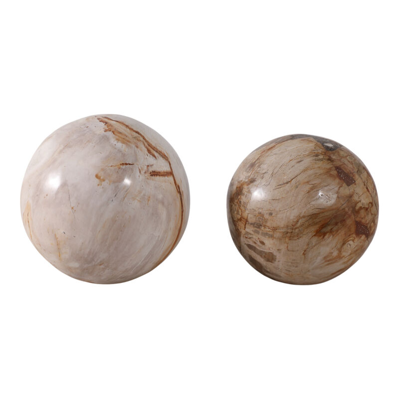 S/2 5/6" Petrified Wood Orbs, Ivory image number 0