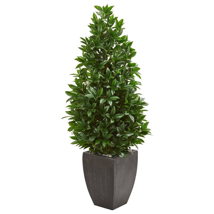 Nearly Natural 56-in Bay Leaf Cone Topiary UV in Planter (Indoor/Outdoor)