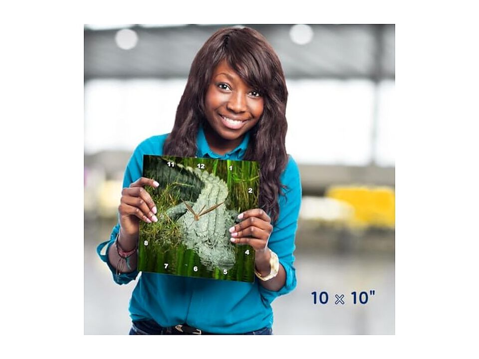 Grow Them Here Florida Alligator Wall Clock 10 Inch Home Decor