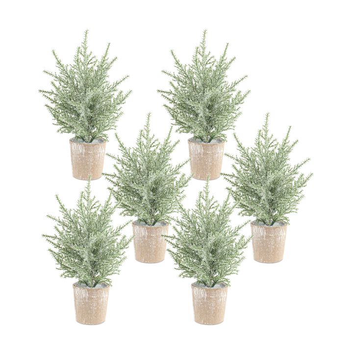 Set of 6 Frosted Holiday Pine Trees in Paper Pots for Festive Home D&eacute;cor