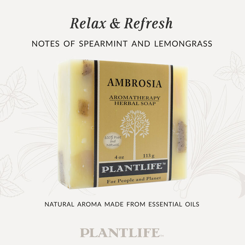 Plantlife Bar Soap - Ambrosia 6 Pack image number 2