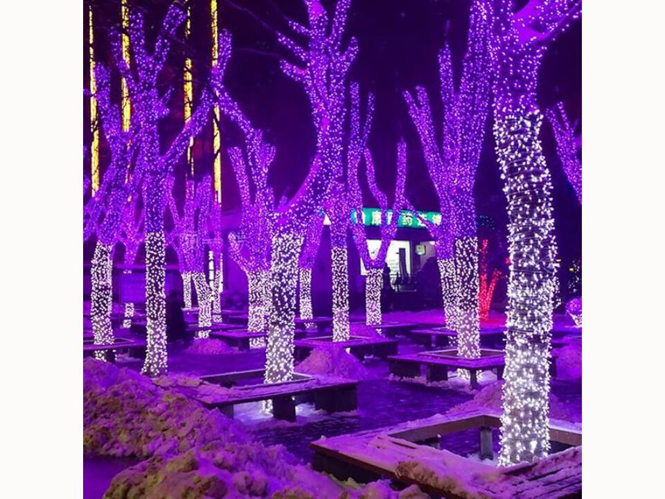 66FT Halloween Mini String Lights – 200 LED Purple Plug-In with 8 Modes, Waterproof Green Wire for Indoor/Outdoor Party & Holiday Decor