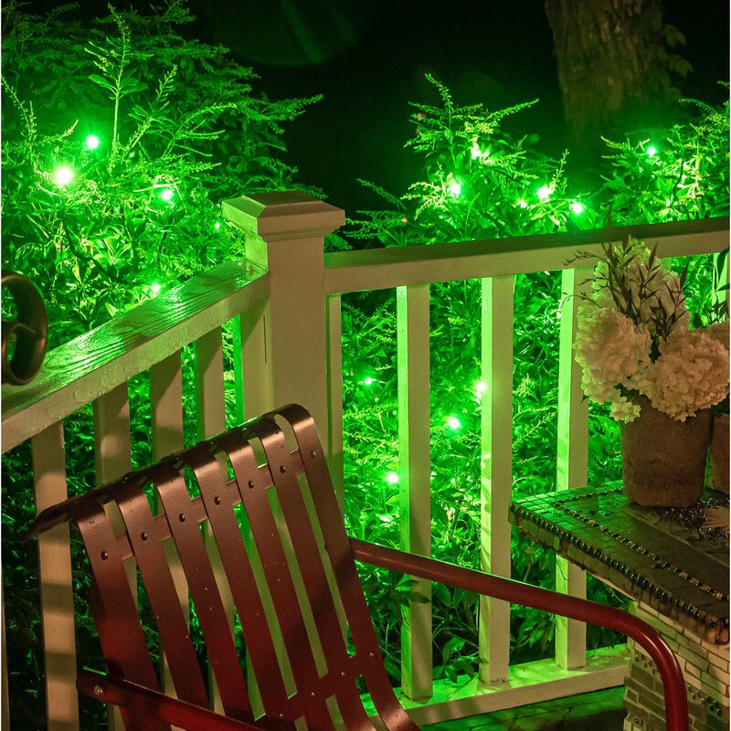 25 Multi-Color LED Berry Christmas String Lights - 12.67 ft Green Wire