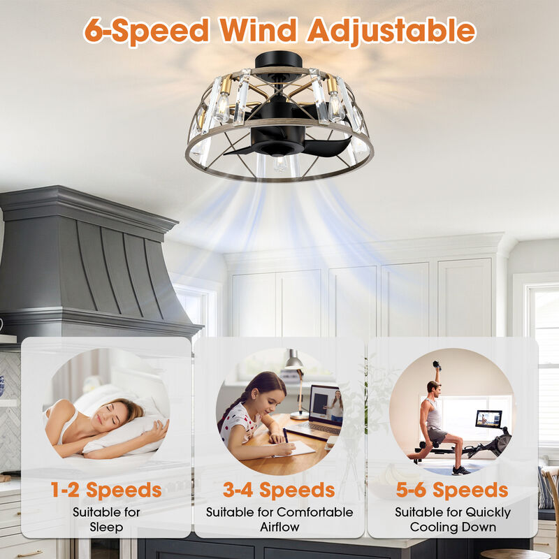 23" Modern Matte Black Reversible Caged Ceiling Fan with Light and Remote image number 6