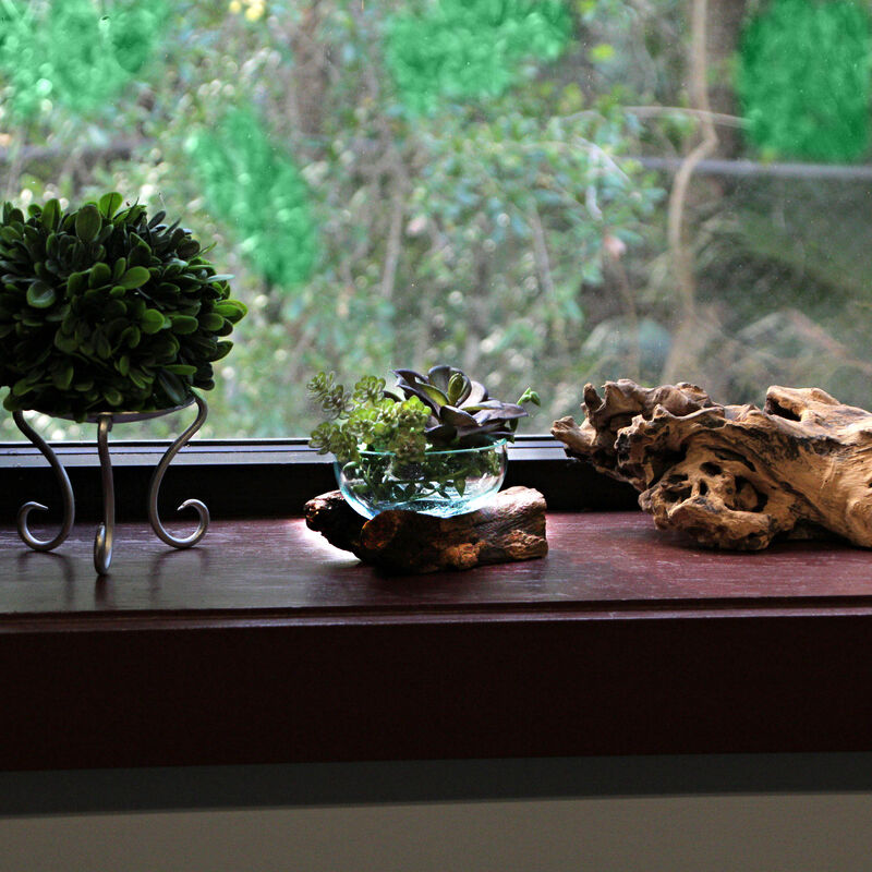 Glass and Teak Driftwood Bowl &ndash; 3.25&rdquo; High Decorative Succulent Centerpiece image number 4