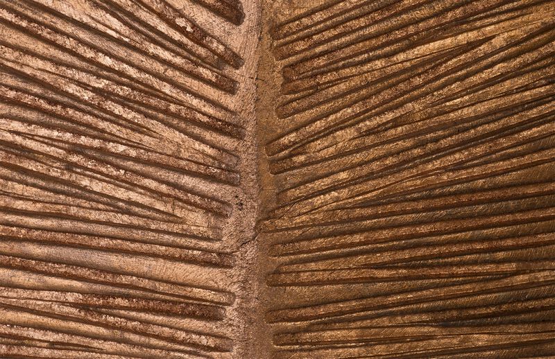 Small Carved Leaf on Stand