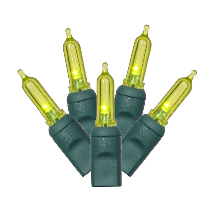 Vickerman Light Set Features ED Lights on Green Wire with Bulb Spacing