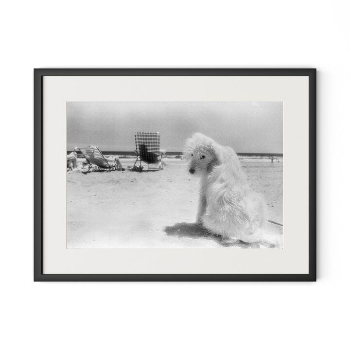 Lois At The Beach by Barbara Alper