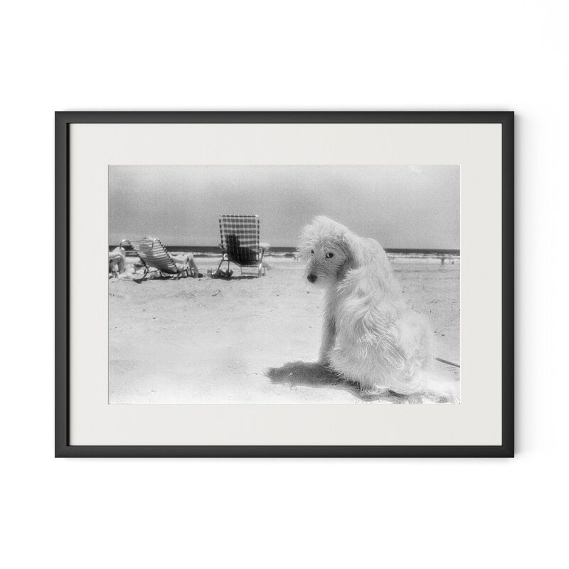 Lois At The Beach image number 1