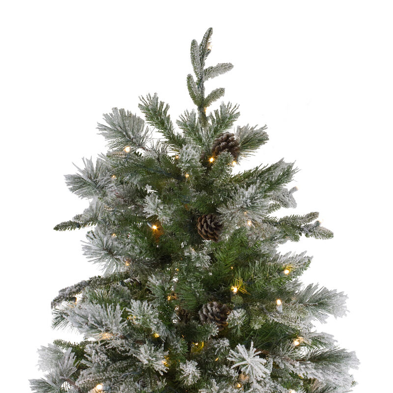 6.5' Pre-Lit LED Full Mixed Rosemary Emerald Angel Pine Artificial Christmas Tree - Clear Lights