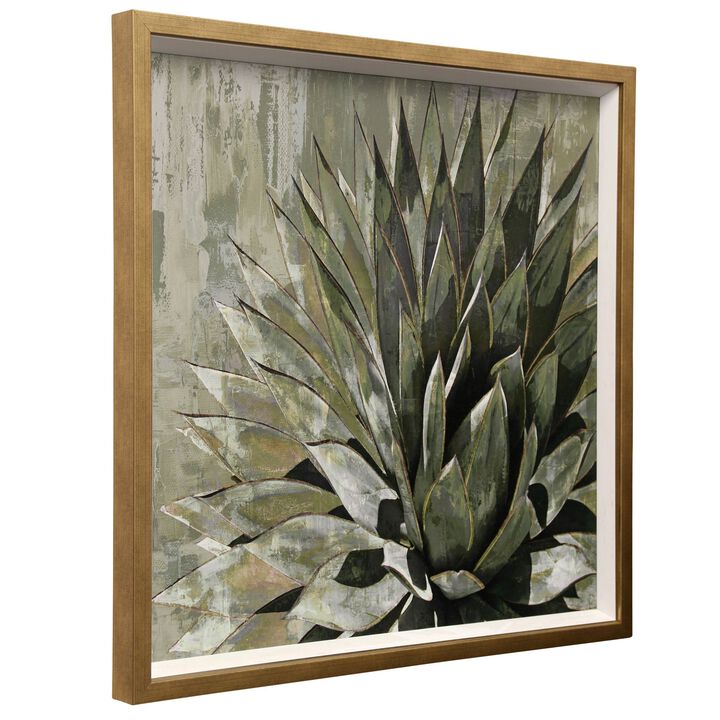 Succulent Verde I Framed Print