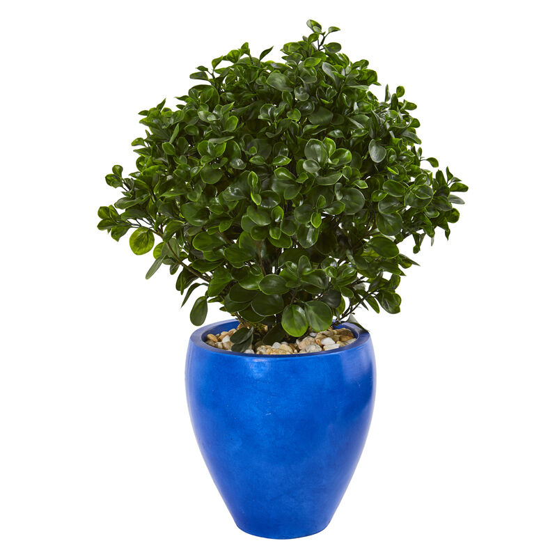 Hivvago 32" Peperomia Artificial Plant in Blue Planter UV Resistant (Indoor/Outdoor)