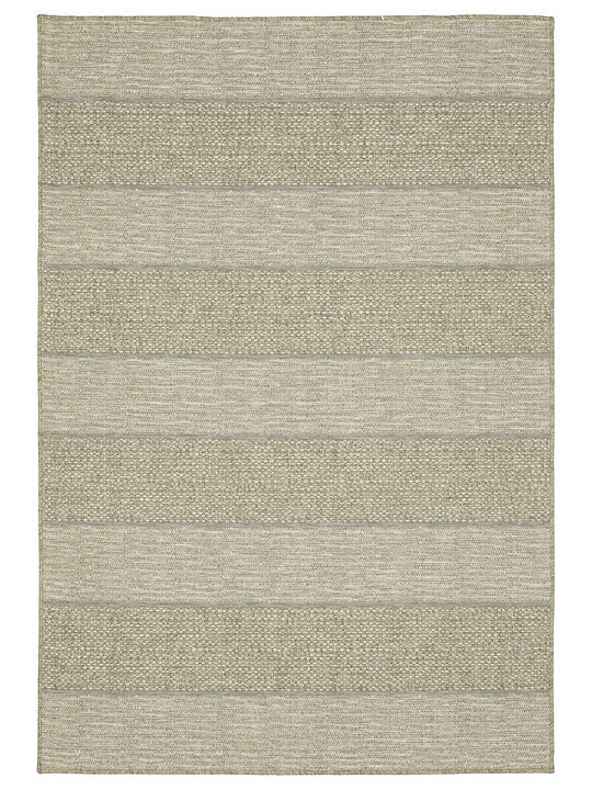 Tortuga 3'3" x 5' Beige Rug