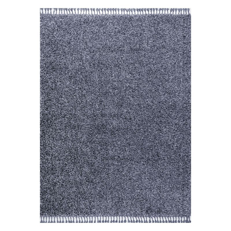 Mercer Shag Plush Tassel Area Rug