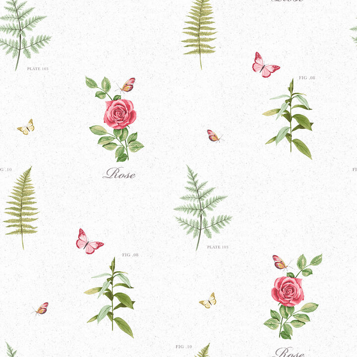 Country Cottage Rose Botanical Motif White Wallpaper S45208