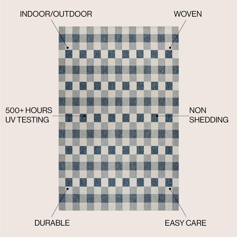 Darcy Traditional Geometric Bold Gingham Indoor/Outdoor Area Rug