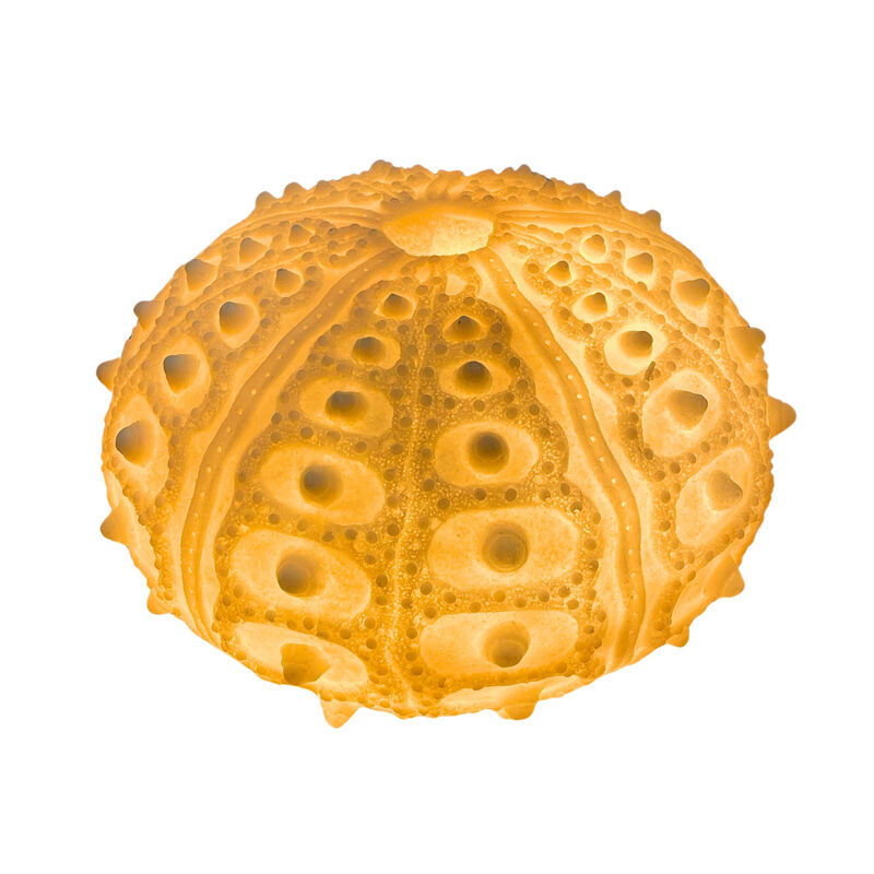 Coastal Sea Urchin Lamp, 12" Resin Sculpture with Warm Glow, Decorative Accent image number 4