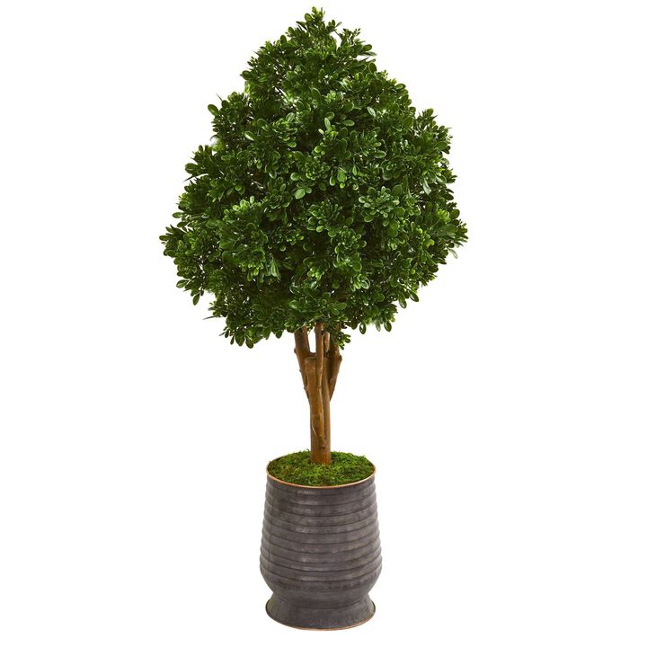 Nearly Natural 49-in Tea Leaf Tree in Metal Planter UV Resit (Indoor/Outdoor)