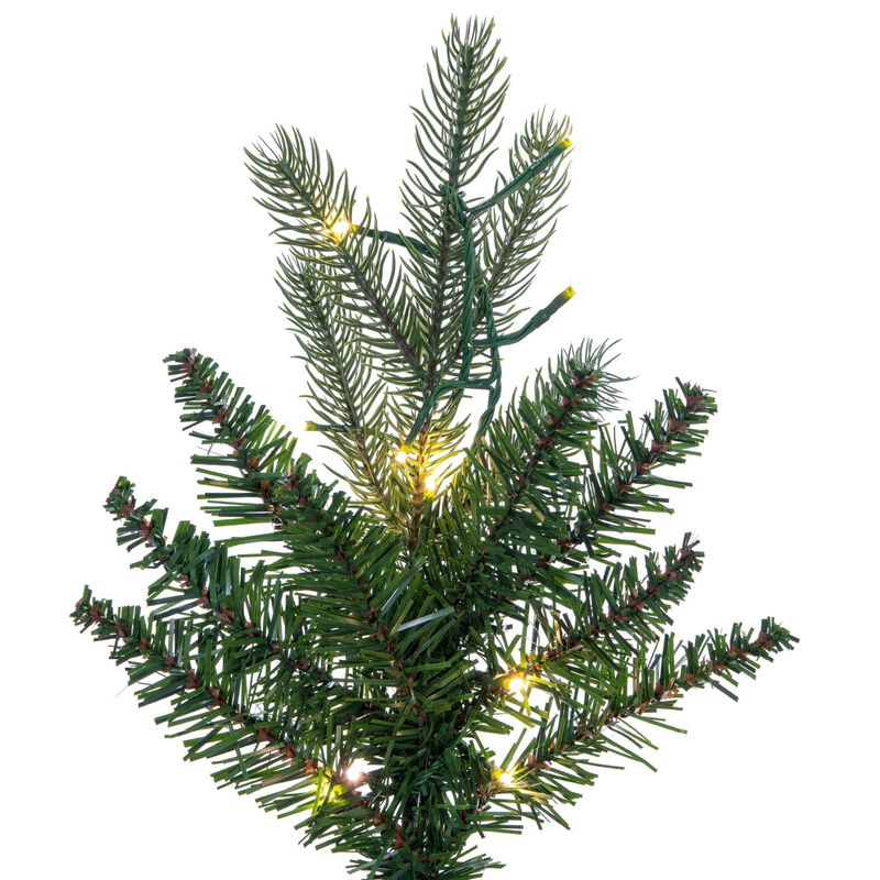 Balsam Spruce 3mm LED image number 2