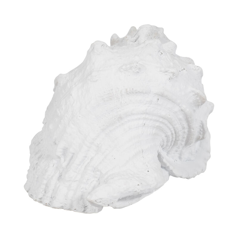 9" Conch Shell, White image number 2