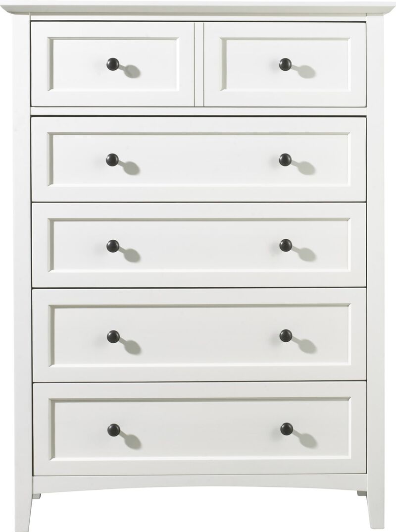 Paragon Five Drawer Chest in White