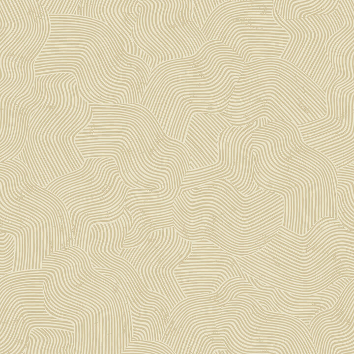 Bahia Dunes Wallpaper