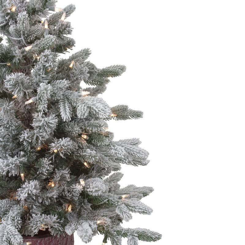 4' Pre-Lit Flocked Saratoga Spruce Artificial Christmas Tree in Pot - Clear Lights