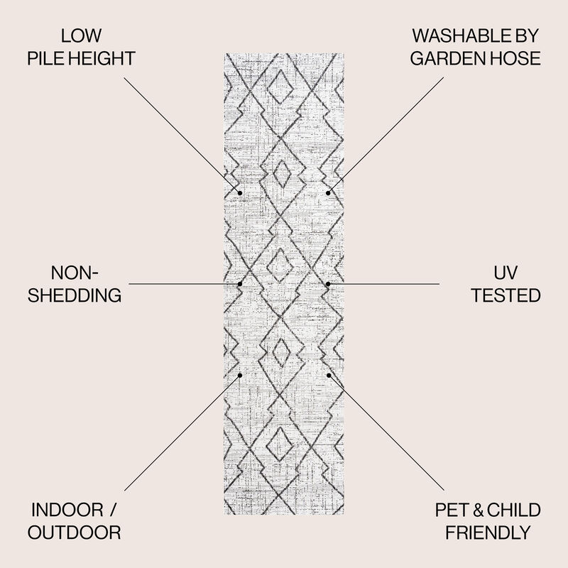 Carwa Tribal Diamond Trellis Indoor/Outdoor Area Rug