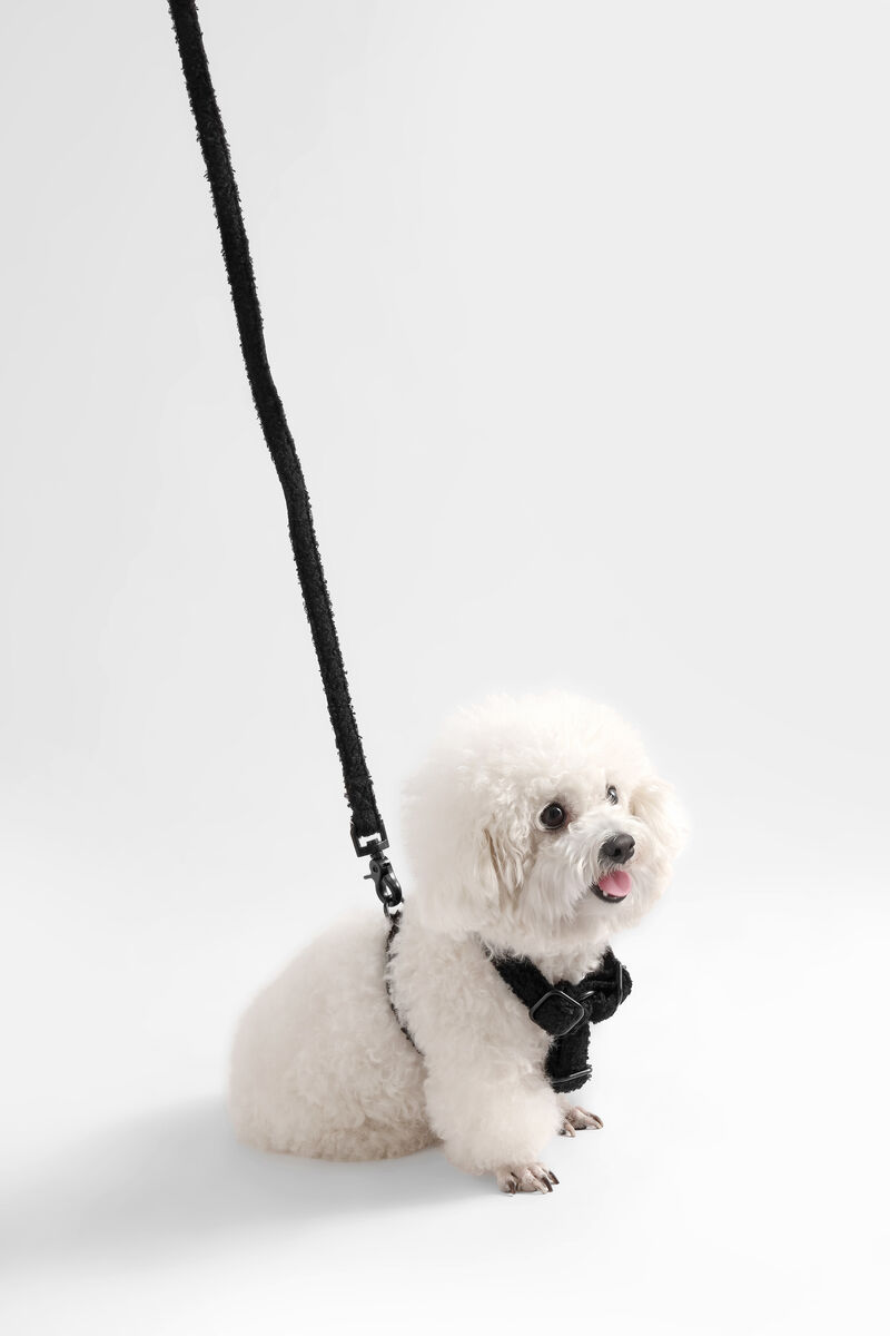 Teddy Boucl&eacute; Adjustable H Harness and Leash Walk Set with Poop Bag Pouch