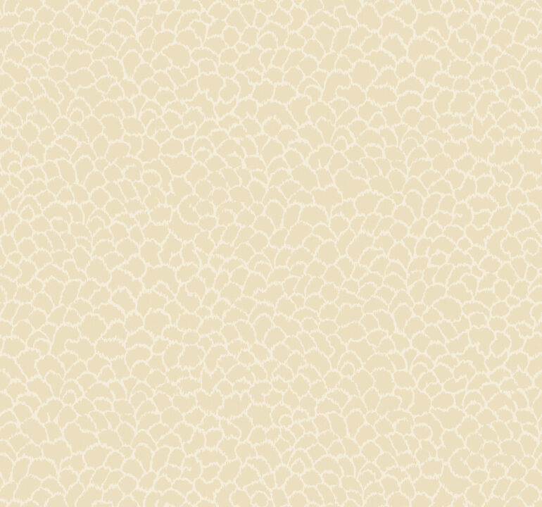 Nadie Camel Wallpaper