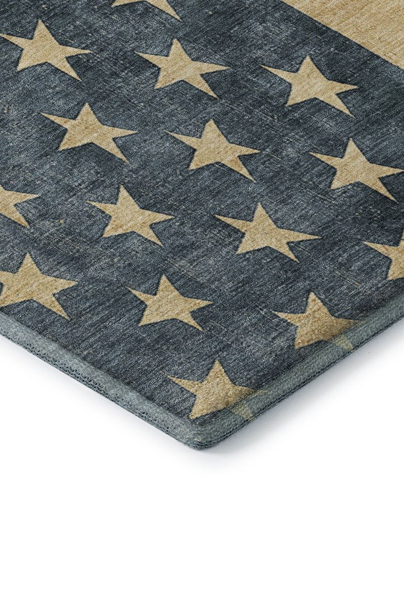 Americana AM1 Collection image number 5