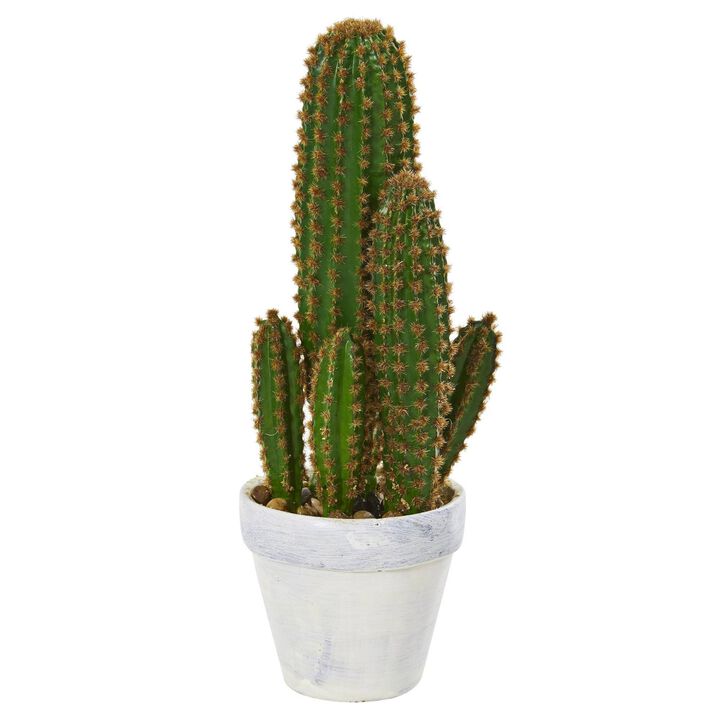 Nearly Natural 1.5-ft Cactus Succulent Artificial Plant