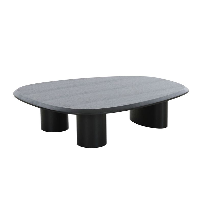 Cid Sami Coffee Table, Set of 2, Freeform Shape, Black Solid Wood Frame