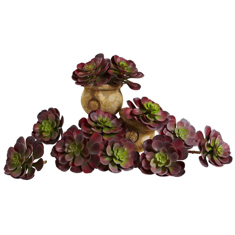 Nearly Natural 6-in Echeveria Succulent (Set of 12) - Burgundy