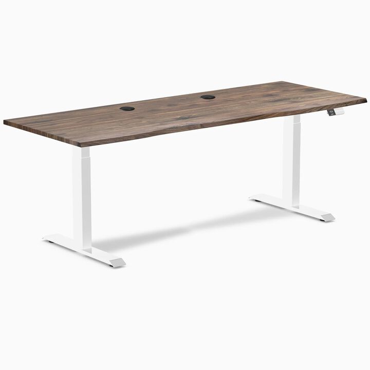 Desky Dual Laminate Sit Stand Desk