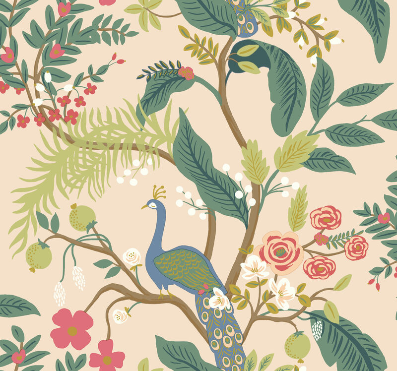 Peacock Rifle Paper Co. Wallpaper image number 3