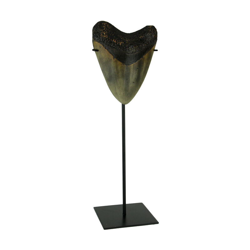 Mounted Giant Megalodon Shark Tooth Fossil Sculpture image number 0