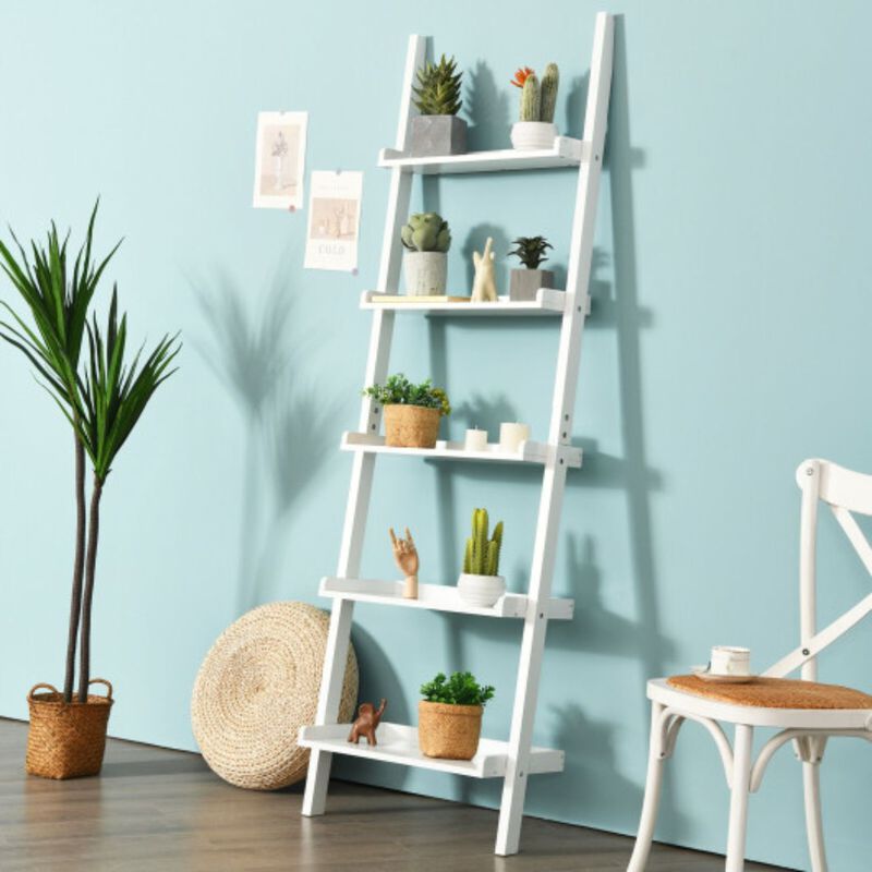 5-Tier Wall-leaning Ladder Shelf  Display Rack for Plants and Books