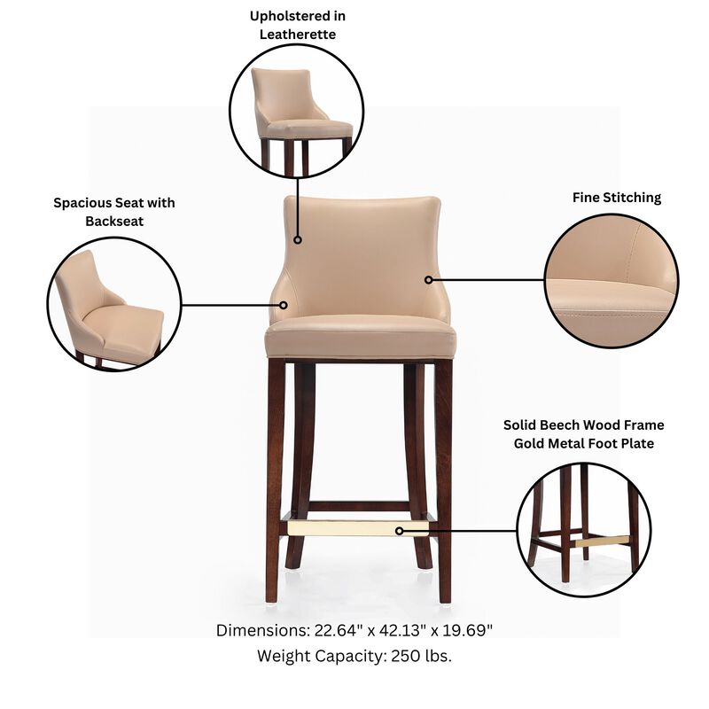 Shubert Brown Barstools (Set of 2)
