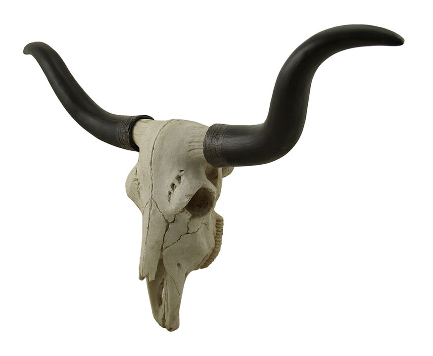Black & Bone Decorative Longhorn Trophy Skull Wall Sculpture 20 Inch