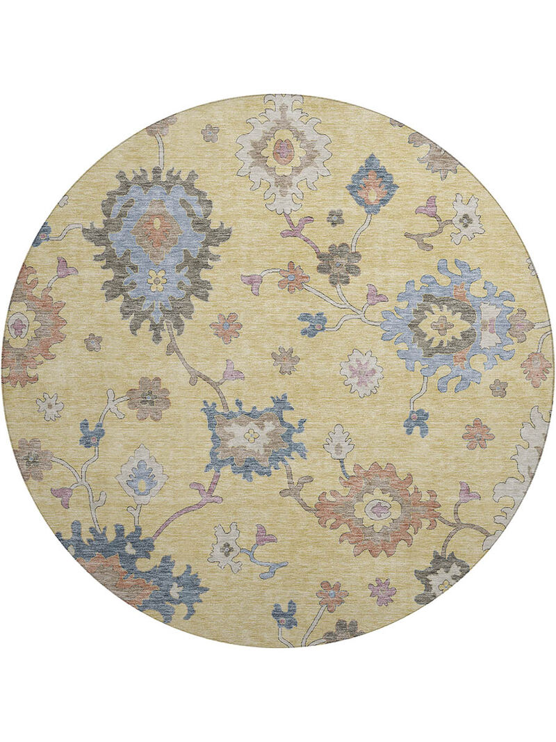 Hatay HY4 Gold 8' Rug