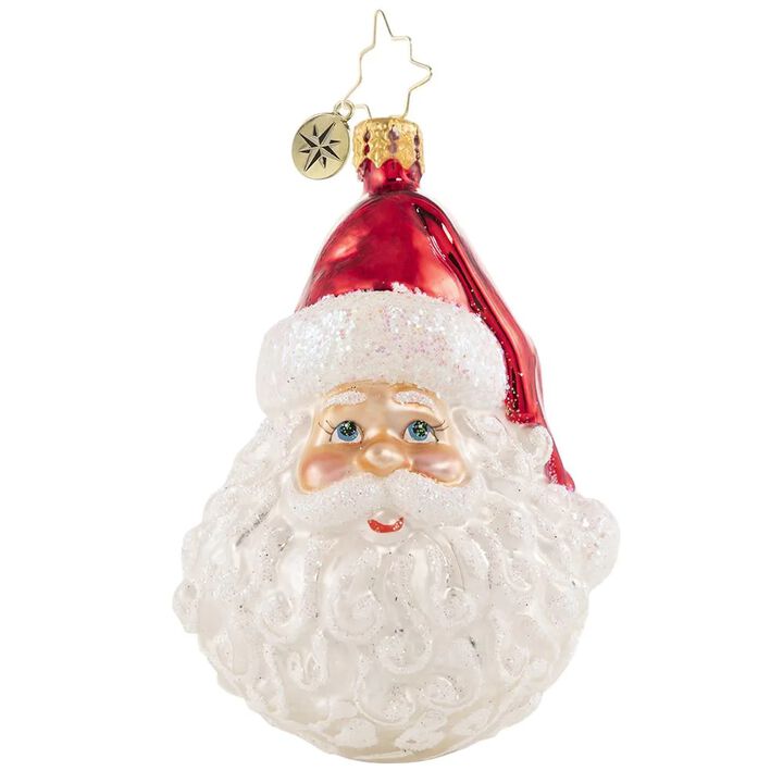 Christopher Radko Classic St. Nick Gem Glass Christmas Ornament 1020647